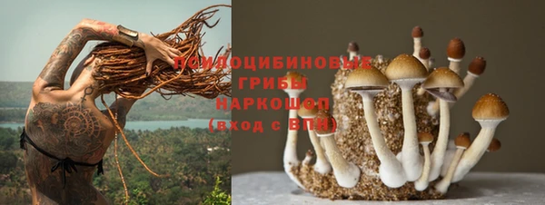 гашик Снежногорск