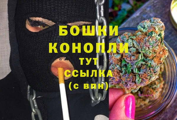 гидропоника Снежинск