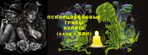 гидропоника Снежинск