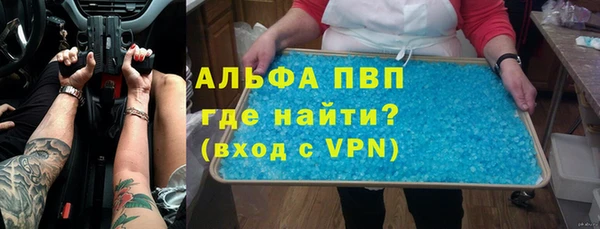 гашик Снежногорск