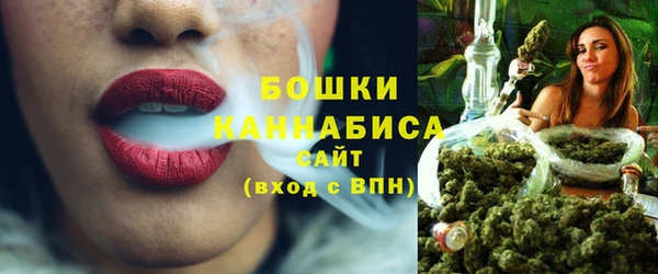 гашик Снежногорск