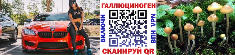 Галлюциногенные грибы ЛСД  Калач 