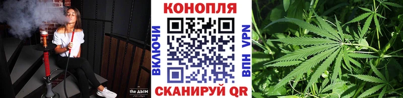 Каннабис OG Kush  МЕГА зеркало  Калач 